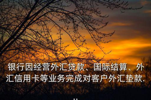  銀行因經(jīng)營外匯貸款、國際結(jié)算、外匯信用卡等業(yè)務(wù)完成對客戶外匯墊款...