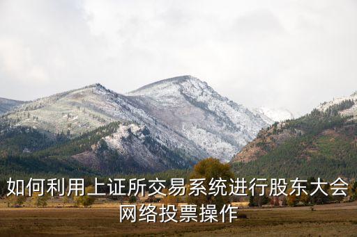 如何利用上證所交易系統進行股東大會網絡投票操作