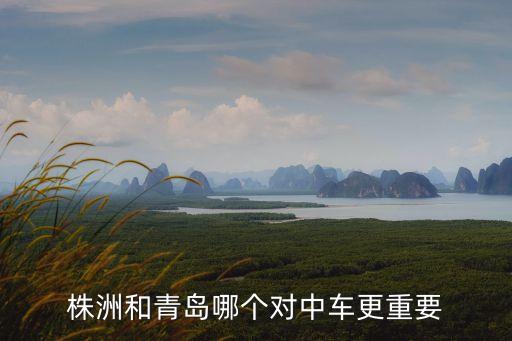 中國(guó)南車(chē)子公司排名,中國(guó)排名車(chē)子品牌