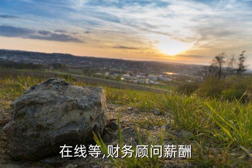 在線等,財(cái)務(wù)顧問(wèn)薪酬