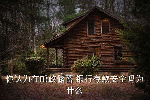 郵儲(chǔ)銀行形勢分析
