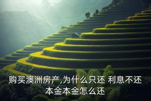 購買澳洲房產,為什么只還 利息不還本金本金怎么還