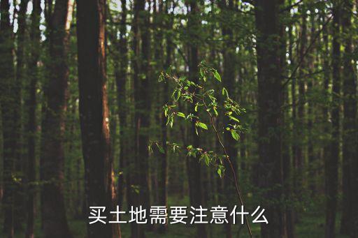 買土地需要注意什么