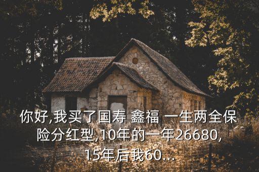 中國人壽鑫福一生海報(bào)