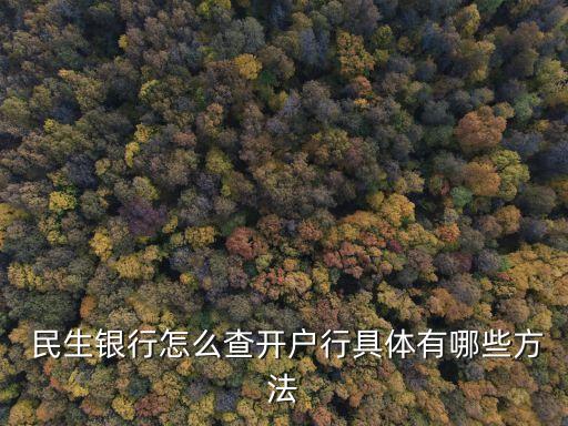 民生銀行怎么查開(kāi)戶(hù)行具體有哪些方法