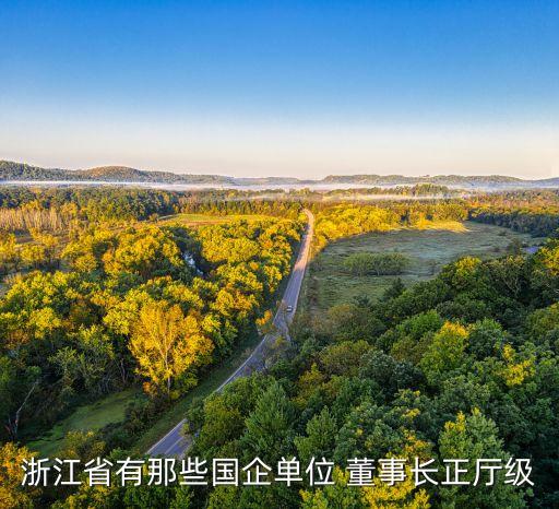 浙建集團(tuán)董事長(zhǎng),浙建投資集團(tuán)董事長(zhǎng)