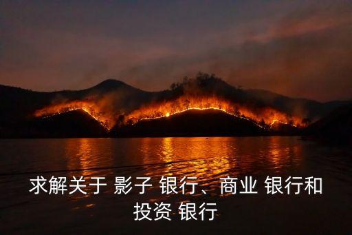 求解關(guān)于 影子 銀行、商業(yè) 銀行和投資 銀行