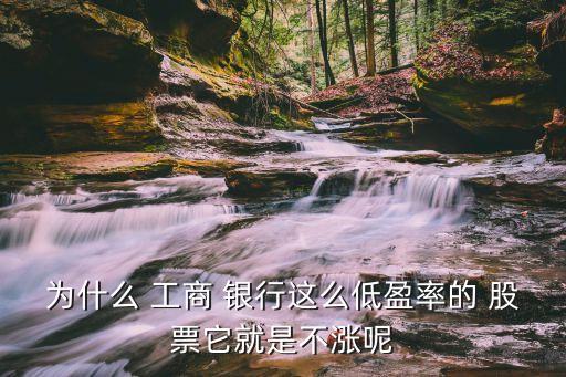 工商銀行股票分析范文,一輩子買(mǎi)工商銀行股票