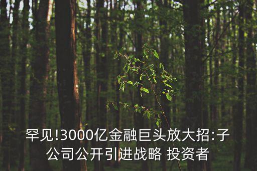 罕見!3000億金融巨頭放大招:子公司公開引進(jìn)戰(zhàn)略 投資者