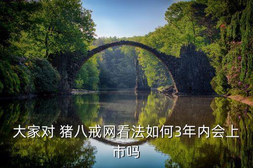 大家對 豬八戒網看法如何3年內會上市嗎