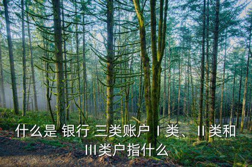 什么是 銀行 三類(lèi)賬戶Ⅰ類(lèi)、Ⅱ類(lèi)和Ⅲ類(lèi)戶指什么