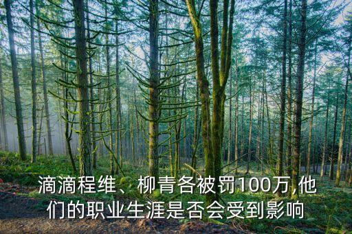  滴滴程維、柳青各被罰100萬,他們的職業(yè)生涯是否會(huì)受到影響