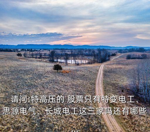 請(qǐng)問:特高壓的 股票只有特變電工、思源電氣、長城電工這三家嗎還有哪些...