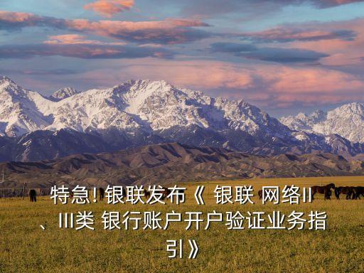 特急! 銀聯(lián)發(fā)布《 銀聯(lián) 網(wǎng)絡(luò)II、III類 銀行賬戶開戶驗證業(yè)務(wù)指引》