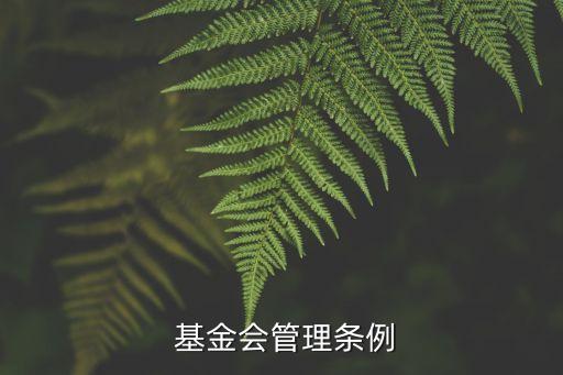  基金會(huì)管理?xiàng)l例