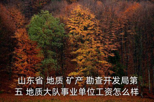  山東省 地質 礦產(chǎn) 勘查開發(fā)局第五 地質大隊事業(yè)單位工資怎么樣