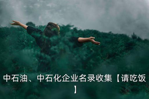 中石油、中石化企業(yè)名錄收集【請(qǐng)吃飯】