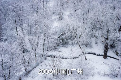 2006中國(guó)(廣州