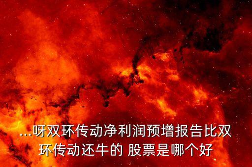 ...呀雙環(huán)傳動凈利潤預增報告比雙環(huán)傳動還牛的 股票是哪個好