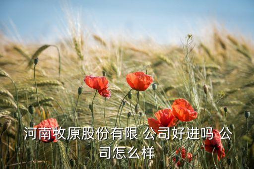 河南牧原股份有限 公司好進(jìn)嗎 公司怎么樣