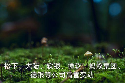 松下、大陸、軟銀、微軟、螞蟻集團、德銀等公司高管變動