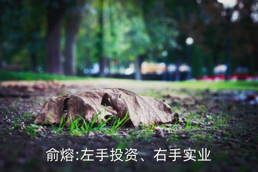俞熔:左手投資、右手實(shí)業(yè)