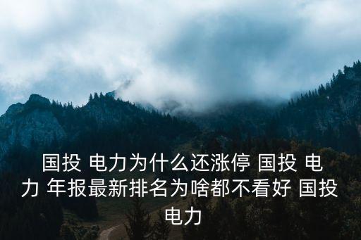 國投電力控股股份有限公司年報(bào),國投集團(tuán)國投電力控股股份有限公司