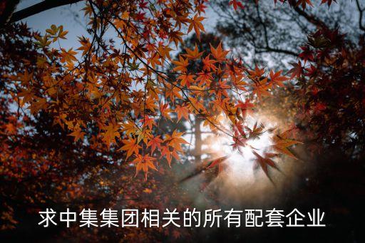 求中集集團相關的所有配套企業(yè)