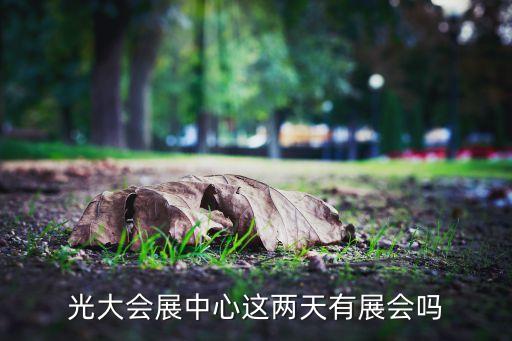 中國上海國際婚紗攝影器材展覽會,上?；榧啍z影器材展2023時間