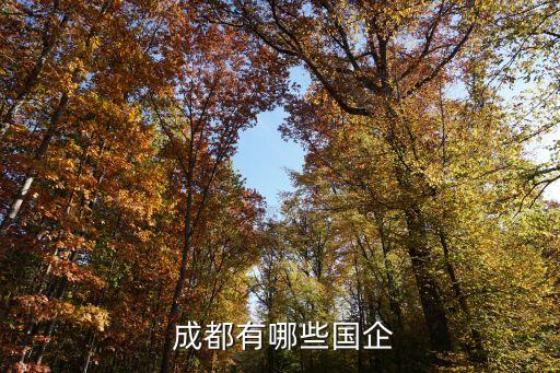  成都有哪些國(guó)企