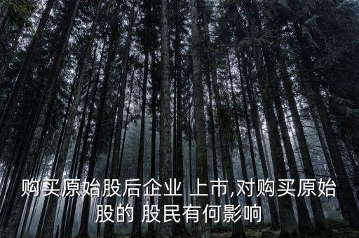 購(gòu)買(mǎi)原始股后企業(yè) 上市,對(duì)購(gòu)買(mǎi)原始股的 股民有何影響