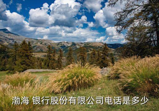  渤海 銀行股份有限公司電話(huà)是多少