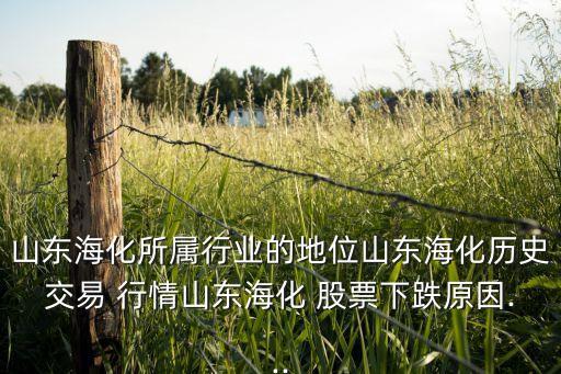 山東海化所屬行業(yè)的地位山東?；瘹v史交易 行情山東?；?股票下跌原因...