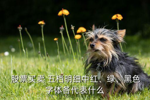  股票買賣 五檔明細中紅、綠、黑色字體各代表什么