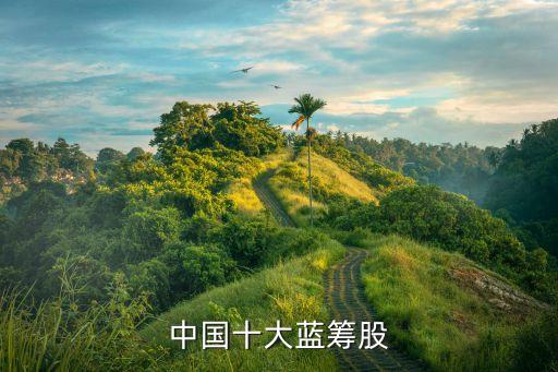 中國十大藍籌股