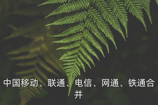 中國移動、聯(lián)通、電信、網(wǎng)通、鐵通合并