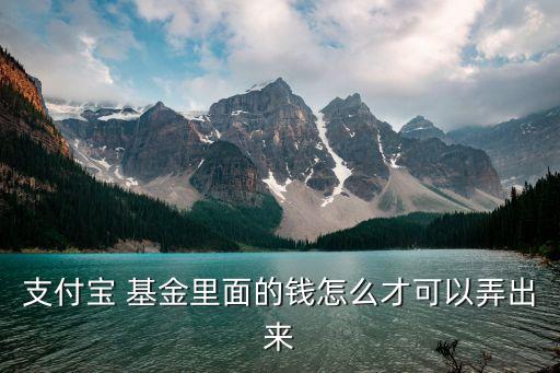 支付寶 基金里面的錢(qián)怎么才可以弄出來(lái)