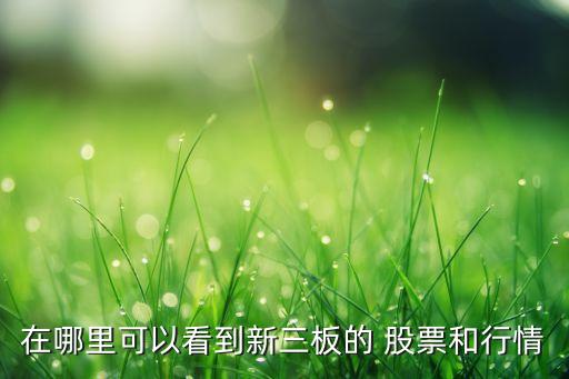 萬(wàn)德數(shù)據(jù)庫(kù)輸入股票代碼