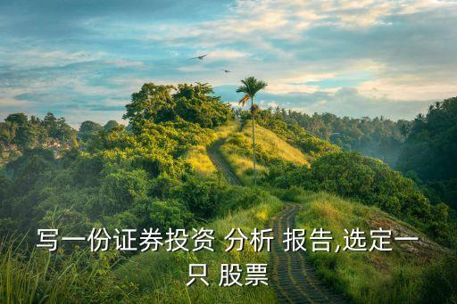 寫一份證券投資 分析 報(bào)告,選定一只 股票