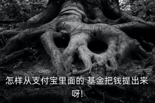 怎樣從支付寶里面的 基金把錢(qián)提出來(lái)呀!