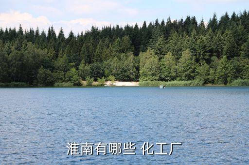 淮南有哪些 化工廠(chǎng)
