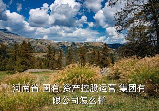 河南省 國有 資產控股運營 集團有限公司怎么樣