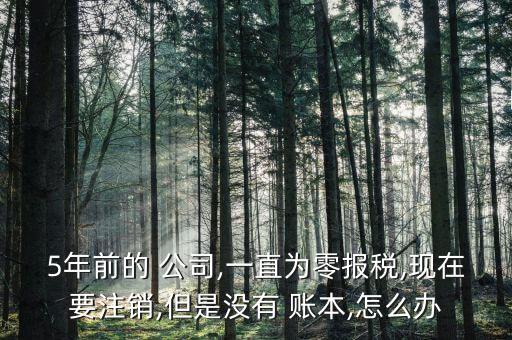 5年前的 公司,一直為零報稅,現在要注銷,但是沒有 賬本,怎么辦