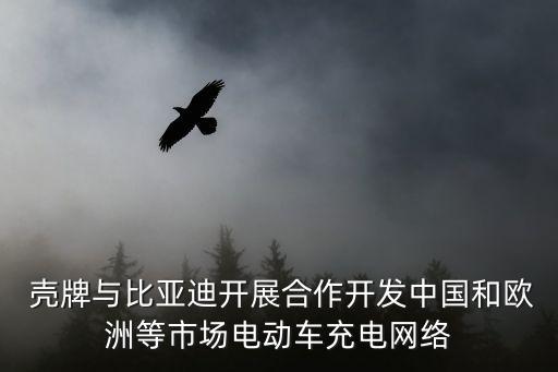  殼牌與比亞迪開(kāi)展合作開(kāi)發(fā)中國(guó)和歐洲等市場(chǎng)電動(dòng)車充電網(wǎng)絡(luò)