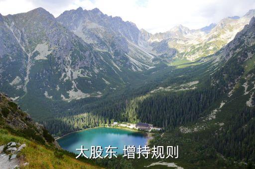 通過(guò)證券公司增持股份,股份開(kāi)戶(hù)哪個(gè)證券公司好
