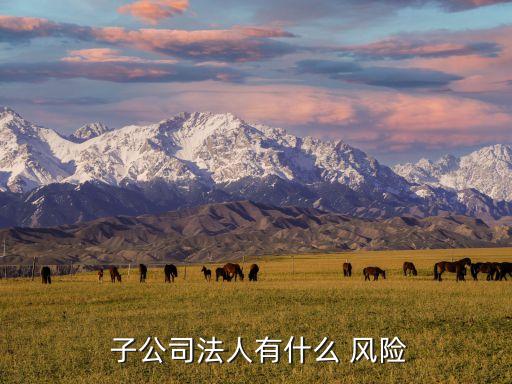  子公司法人有什么 風(fēng)險
