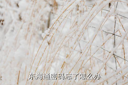 東?；鸸?/></a></span><span id=