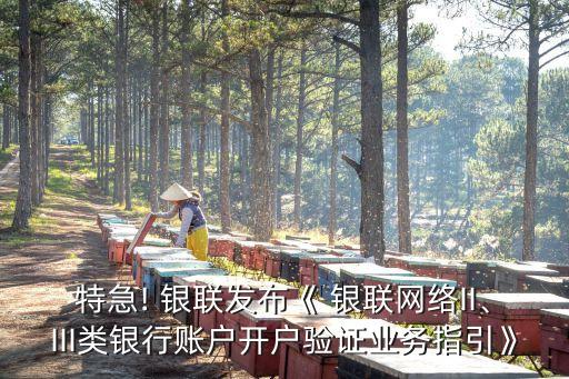 特急! 銀聯(lián)發(fā)布《 銀聯(lián)網(wǎng)絡(luò)II、III類銀行賬戶開戶驗(yàn)證業(yè)務(wù)指引》