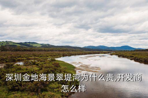 福田投資控股金地,深圳市福田投資控股有限公司
