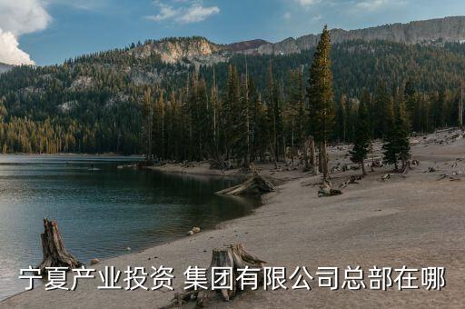 寧夏產業(yè)投資 集團有限公司總部在哪